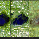 Image for article titled Water On Earth: Floods, Droughts And Prediction